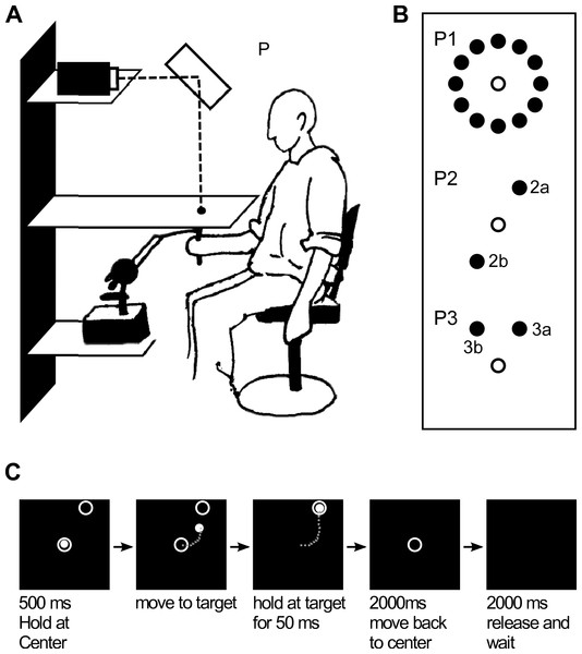 Experimental setup.