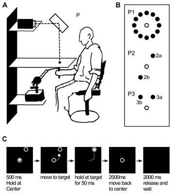 There and back again: putting the vectorial movement planning ...