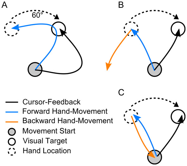 Expected trajectories in our task.