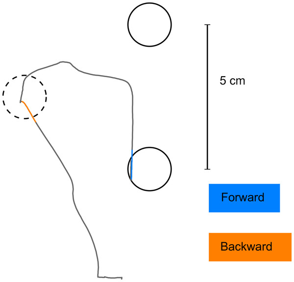 Detection of initial movement error.