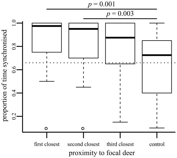 Boxplot showing the proportion of time that behaviour of the focal individual was synchronised with neighbours of differing social distances.