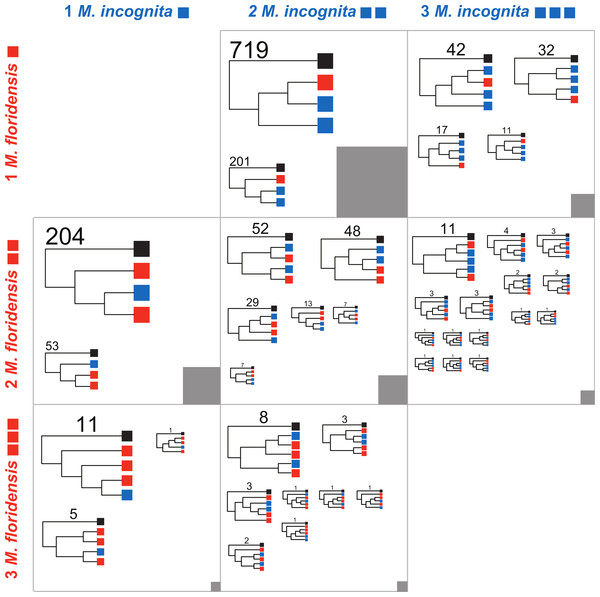 Phylogenomic analyses of clustered gene sets.