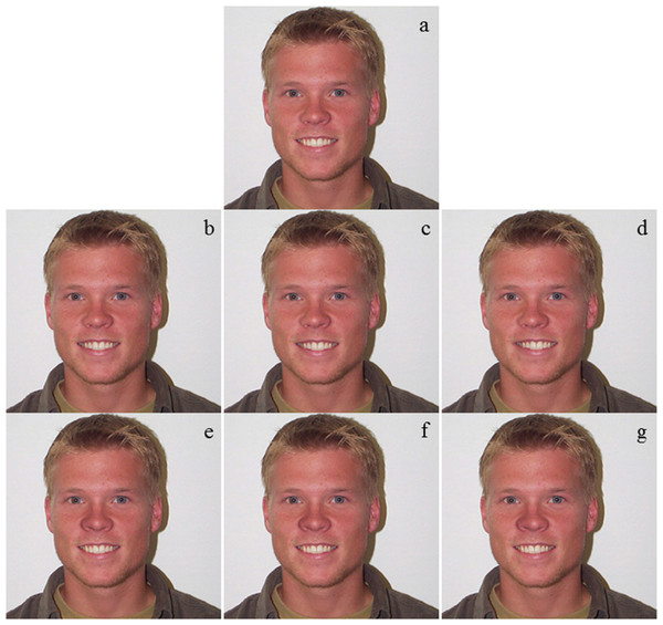 A set of pictures used for attractiveness evaluation.