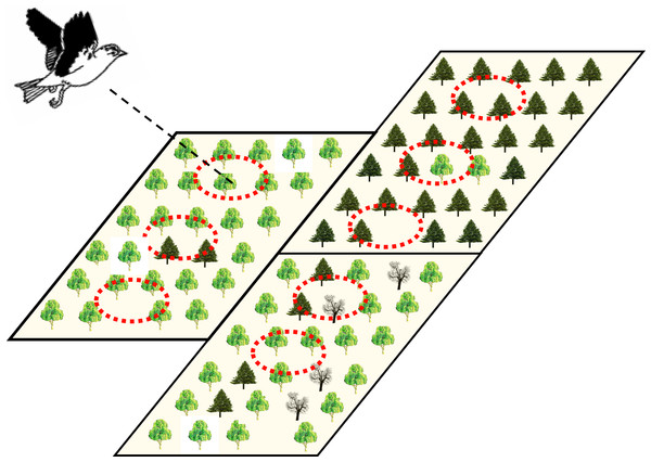 Illustration of the potential hierarchical organization of point- and stand-level forest attributes hypothesized to be influential on bird movement and ranging in heterogeneous production forest landscapes.