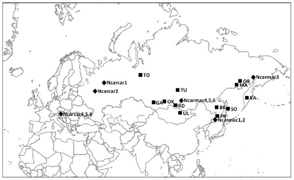 Nutcracker tissue sample locations throughout Eurasia.