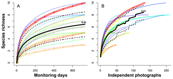 Species rarefaction curves for 19 camera sites monitored over two years.