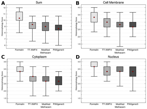 Comparison of histomorphology and DNA preservation produced by fixatives in the veterinary diagnostic laboratory setting histomorphology scores for all animals and tissues combined.