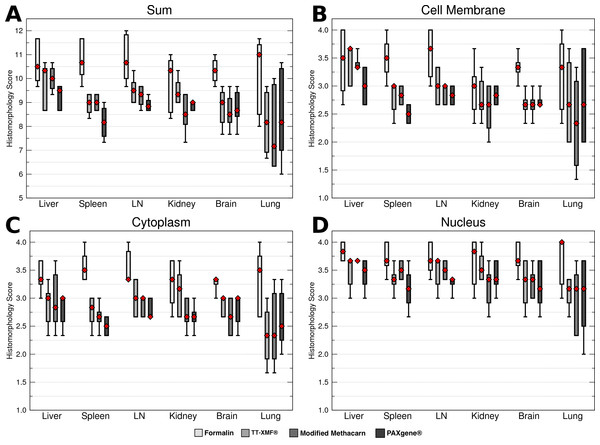 Comparison of histomorphology and DNA preservation produced by fixatives in the veterinary diagnostic laboratory setting histomorphology scores for individual tissues.