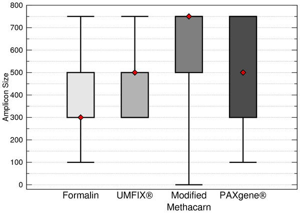 Maximum DNA amplicon size ranges for all samples combined.