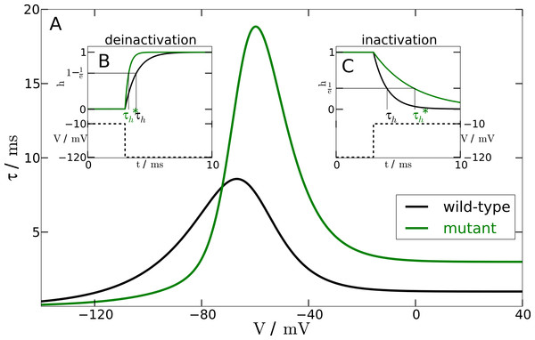 Inactivation time constant as a function of membrane potential.