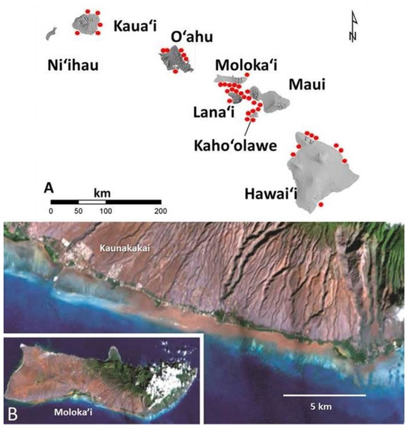 Images of red terrigenous sediment in the Hawaiian islands.