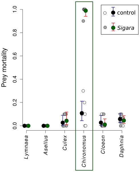 Mortality of six freshwater invertebrates in the presence/absence of Sigara striata.