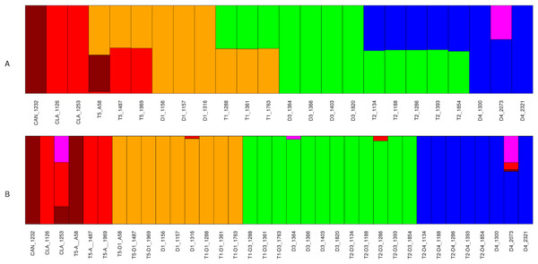 Structure analysis for Glycine perennial polyploid accessions.