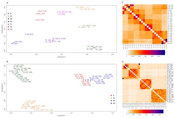 FineStructure analysis for Glycine perennial polyploid species.