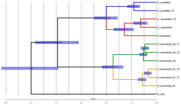 Phylogenetic tree with estimated divergence dates.