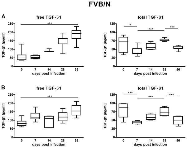 TGF-β1 content in the sera of FVB/N mice suffering from lyme disease.