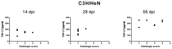 Relationship of free TGF-β1 content in the sera of C3H/HeN mice to inflammatory lessions.