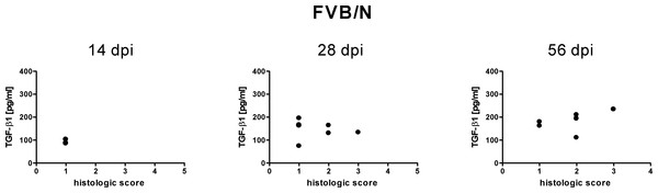 Relationship of free TGF-β1 content in the sera of FVB/N mice to inflammatory lessions.
