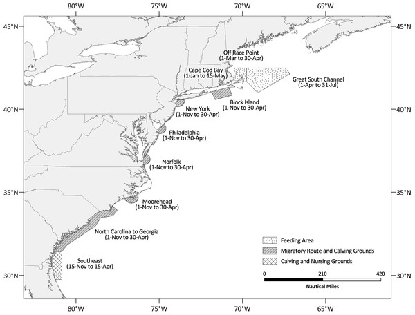 Map depicting the location and active periods of the north Atlantic right whale seasonal management areas (SMAs).