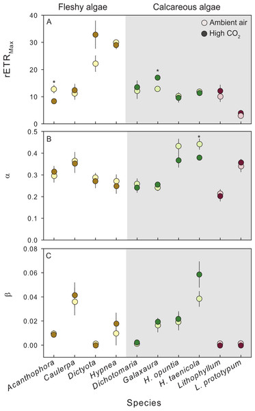 Photosynthetic response of fleshy and calcareous algae to treatment conditions.