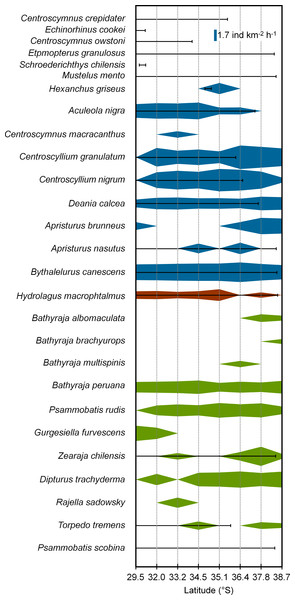 Diagram of abundance and latitudinal range of cartilaginous fishes in Chile.