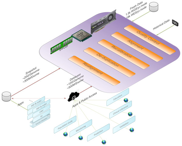 BALSA, based on SOAP3-dp, performs the whole secondary analysis (raw reads to variants) in memory with most of the modules accelerated with GPU.