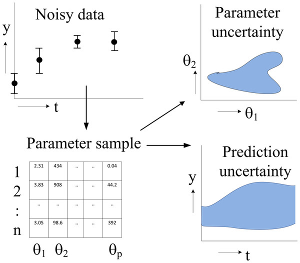 Flowchart of parameter estimation and uncertainty analysis.