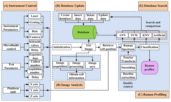 Framework of QSpec.