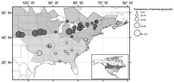 Map of sites with transparency of wings.