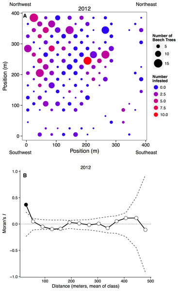 Spatial distribution of beech trees and aphids.