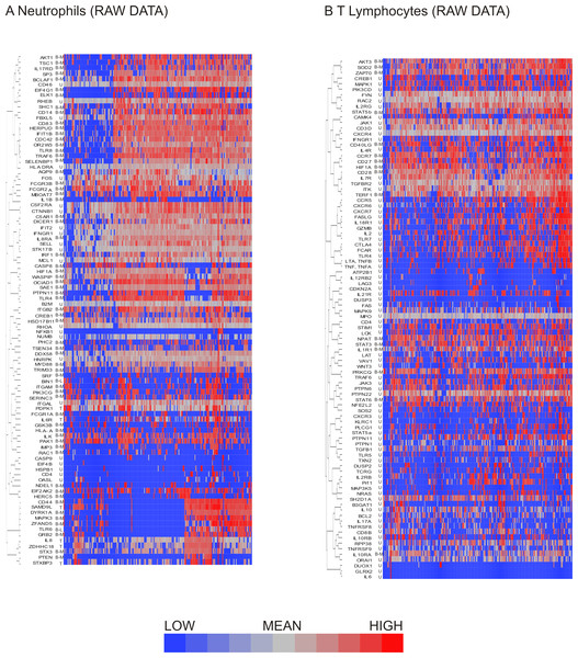 Hierarchical clustering of neutrophil and T lymphocyte data showed distinct sub-populations of cells characterized by shared patterns of gene expression.