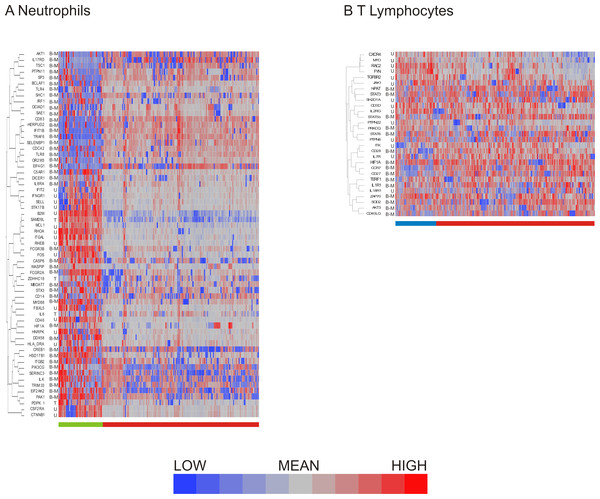 Distribution of bimodal genes in hierarchical clusters after primary analysis.