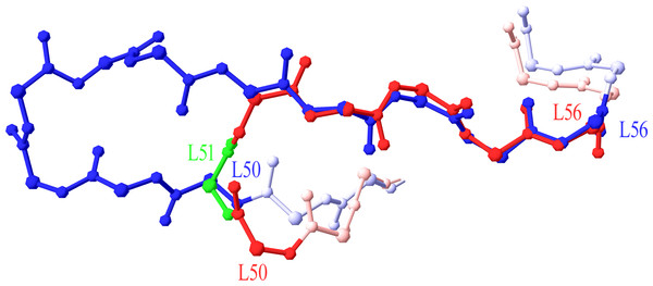 Superposition of 7-residue and 11-residue CDR-L2.