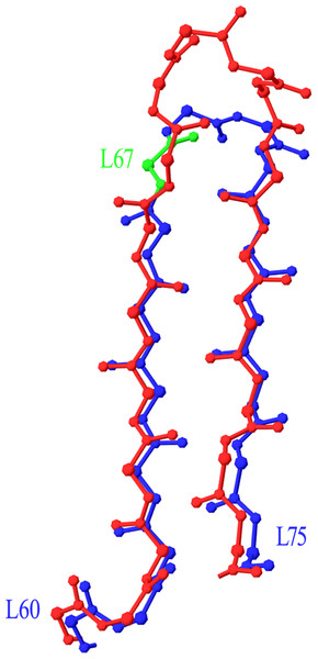 Superposition of Light Framework 3 with an insertion onto a typical LFR3.