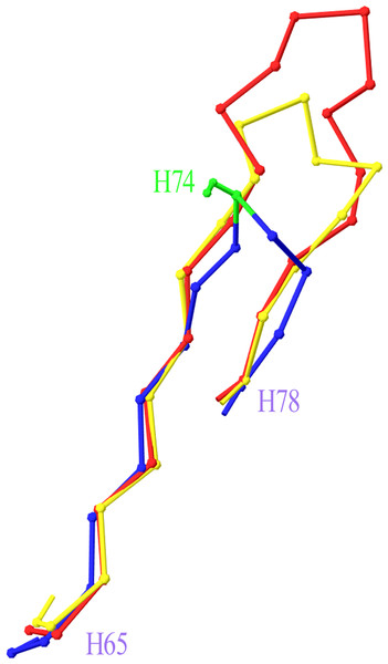 Superposition of Heavy Framework 3 with an insertion onto a typical HFR3.