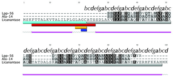 Multiple alignment with related sequences and sequence-based predictions for Licanantase.
