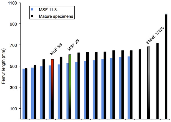 Size and maturity stage corrobating developmental plasticity.