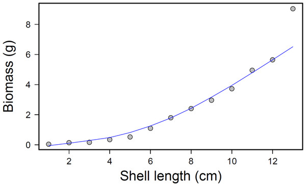 Mussel biomass vs. shell length regression.