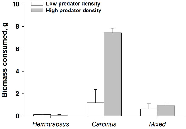Dramatic increase in mussel biomass consumed by Carcinus maenas at high predator densities.