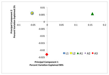 accompanying article image