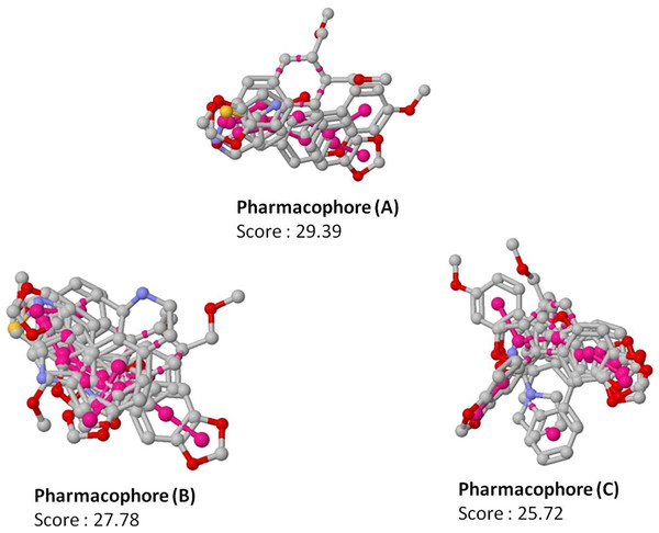 Top scoring pharmacophore models (A, B and C) identified along with the alignment with the input molecules.