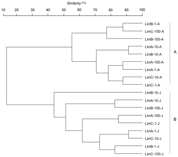 UPGMA cluster analysis of microbial communities based on metabolic diversity.