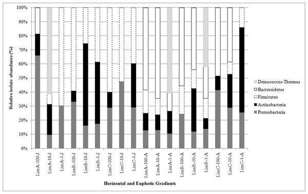 Relative abundance of phyla in Carioca Lake based on sequence analysis of the 16S rRNA gene.