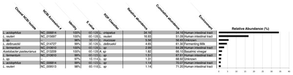 All chicha samples were dominated by Lactobacillus spp.