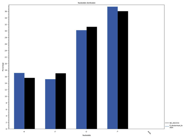 Comparative histogram of the nucleotide frequences of the Indian and Korean P. westermani isolates.