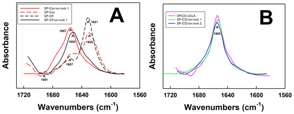 FTIR spectra of the amide I bands for SP-C mimic peptides in surfactant lipids (DPPC:POPC:POPG 5:3:2).