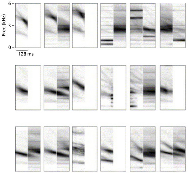 Spectro-temporal receptive fields (STRFs) measured from individual neurons in auditory field L of starling.