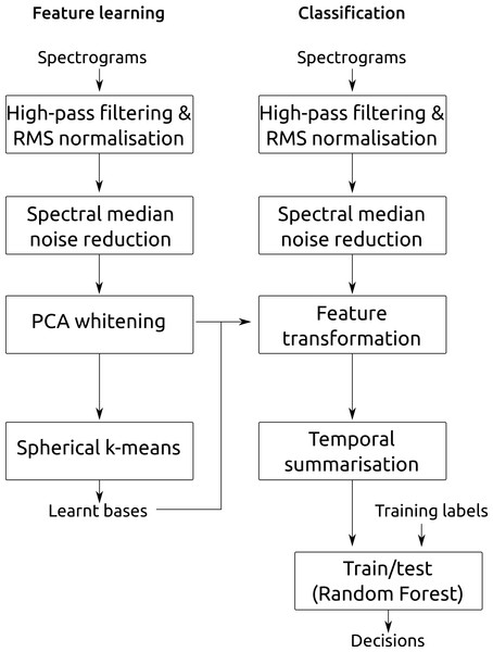 Summary of the classification workflow.