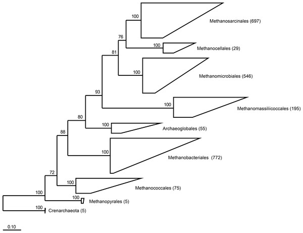 Phylogeny of the seven orders of methanogens based on near full length 16S rRNA gene sequences.