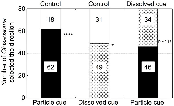 The results for selectivity of the two types of experimental water by the test larvae (n = 80 for each combination).